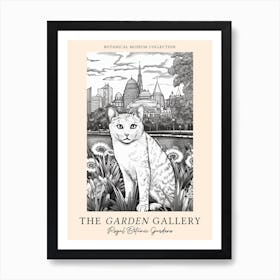 The Garden Gallery, Royal Botanic Gardens Melbourne Australia, Cats Line Art 3  Art Print
