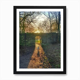 Dog walking through to light Art Print