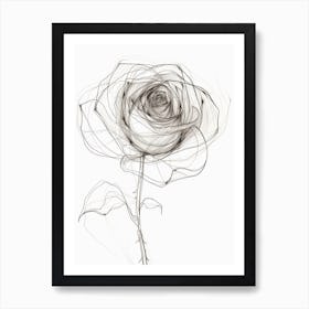 English Rose Black And White Line Drawing 3 Art Print
