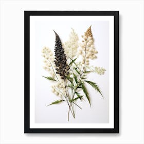 Pressed Wildflower Botanical Art Black Cohosh 2 Art Print