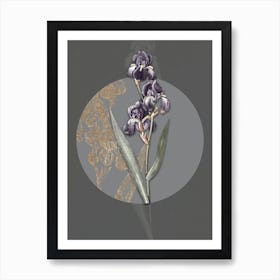 Vintage Botanical Dalmatian Iris on Circle Gray on Gray n.0003 Art Print