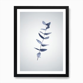 Eucalyptus III Art Print