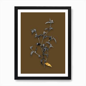 Vintage Commelina Africana Black and White Gold Leaf Floral Art on Coffee Brown n.0950 Art Print