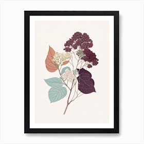 Hydrangea Root Spices And Herbs Minimal Line Drawing 2 Art Print