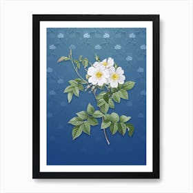 Vintage White Rosebush Botanical on Bahama Blue Pattern n.0476 Art Print