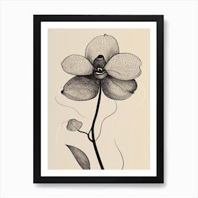 Line Art Orchids Flowers Illustration Neutral 19 Art Print