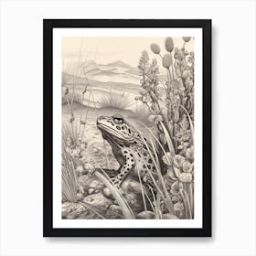 Desert Wave Frog Drawing 4 Art Print