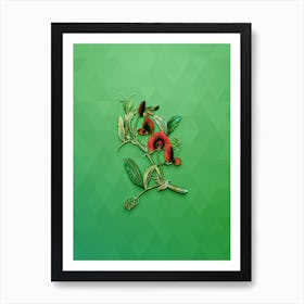 Vintage Tangier Pea Flower Botanical Art on Classic Green n.0105 Art Print