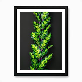 Green Plant On Black Background 1 Art Print