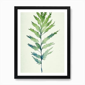 Wormwood Leaf Minimalist Watercolour 3 Art Print