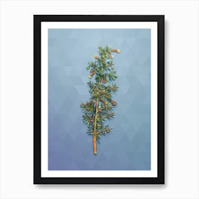 Vintage Kraal Honey Thorn Botanical Art on Summer Song Blue n.2018 Art Print