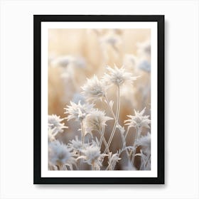 Frosty Botanical Edelweiss 2 Art Print