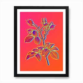 Neon Evrat's Rose with Crimson Buds Botanical in Hot Pink and Electric Blue n.0493 Art Print