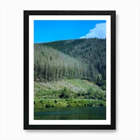 Forest and blue sky Art Print