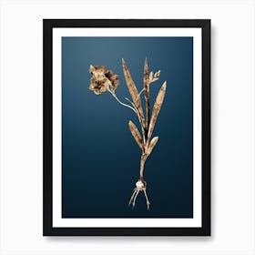 Gold Botanical Ixia Miniata on Dusk Blue n.2736 Art Print