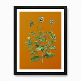 Vintage Blue Marguerite Plant Botanical on Sunset Orange n.0530 Art Print