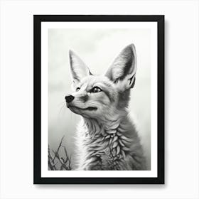 Tibetan Sand Fox Portrait Pencil Drawing 3 Art Print