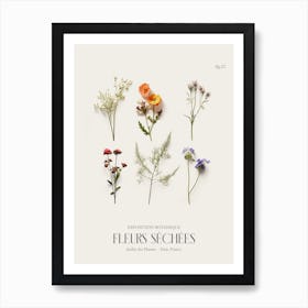Fleurs Sechees, Dried Flowers Exhibition Poster 22 Art Print
