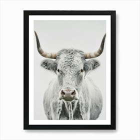 White Cow Canvas Print Art Print