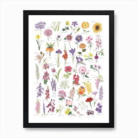 Flowers Art Print