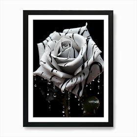 Black And White Rose 3 Art Print