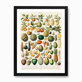 Fruit And Vegetables Art Print