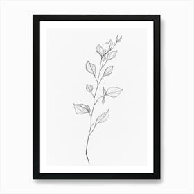 Sketch Of A Plant Art Print