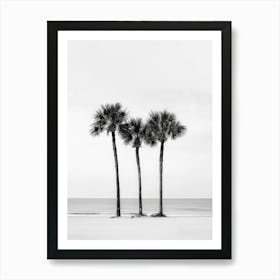 Three Palm Trees On The Beach 1 Art Print