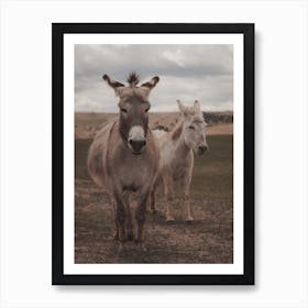 Two Donkeys Art Print