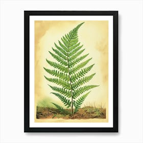 Vintage Illustration Ruffled Fern 1 Art Print