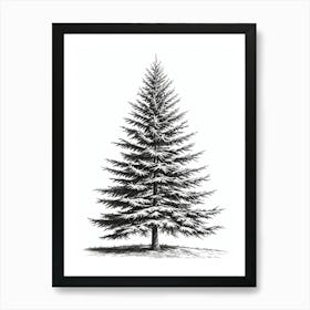 Fir Tree Pencil Sketch Ultra Detailed 1 Art Print