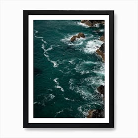 Wild Coast Art Print