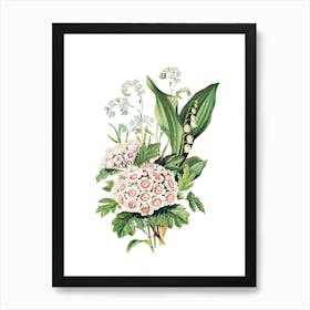 Lily Of The Valley 45 Art Print