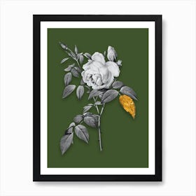 Vintage Fragrant Rosebush Black and White Gold Leaf Floral Art on Olive Green Art Print