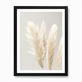 Pampas Grass_2064616 Art Print