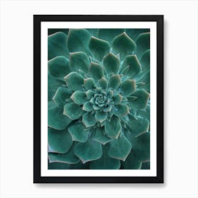 Green Succulent Flower Art Print