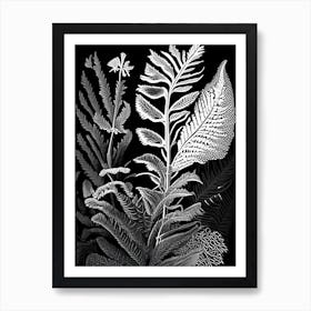 New York Fern Wildflower Linocut 2 Art Print