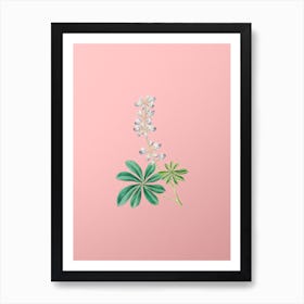 Vintage Half Shrubby Lupine Flower Botanical on Soft Pink n.0521 Art Print