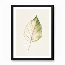 Hickory Leaf Minimalist Watercolour Art Print
