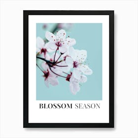 Blossom Season Art Print