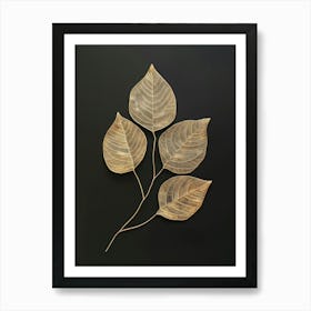 Three Leaves On A Black Surface Art Print