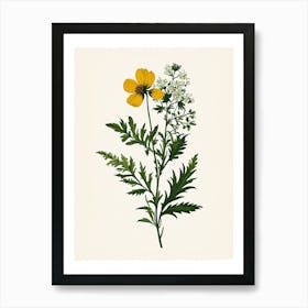 Vintage Botanical Galleria Style Wildflower Painting 8 Art Print