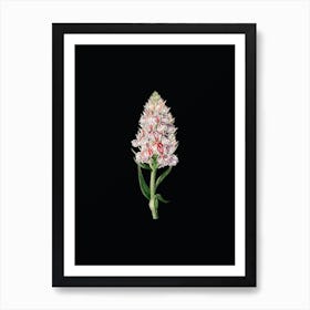 Vintage Leafy Spiked Orchis Flower Botanical Illustration on Solid Black n.0023 Art Print