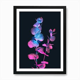 Eucalyptus 8 Art Print