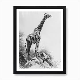 Giraffe On The Cliff Edge Pencil Drawing 1 Art Print