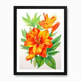 Orange Lily 2 Art Print