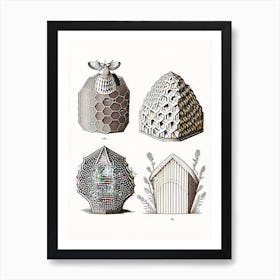 Types Of Beehive 2 Vintage Art Print