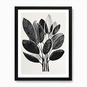 Black And White Print Art Print