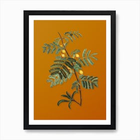 Vintage Sweet Acacia Botanical on Sunset Orange Art Print
