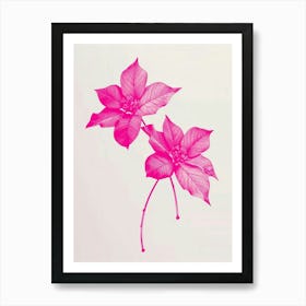 Hot Pink Poinsettia 2 Art Print